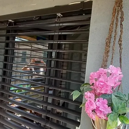 Refugio Da - Refuge Of The Village Vouzela