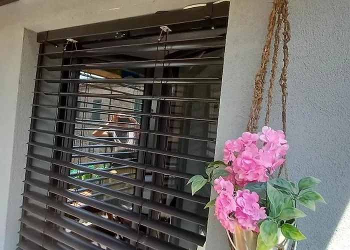 Refugio Da - Refuge Of The Village ヴォウゼーラ