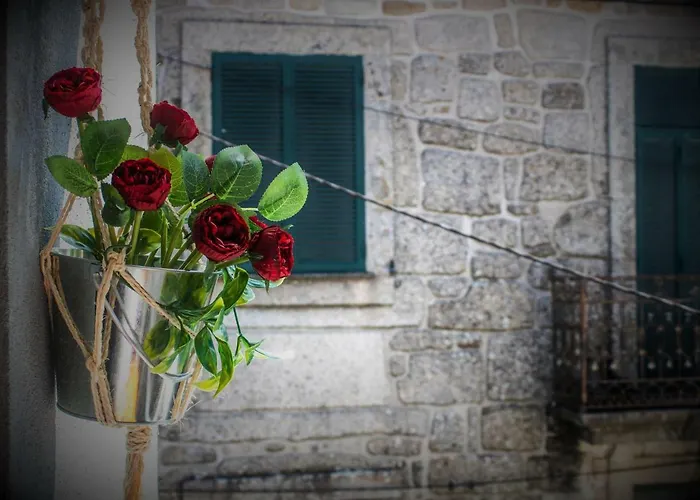 Refugio Da - Refuge Of The Village *